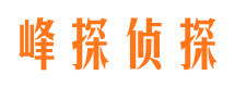 武山资产调查